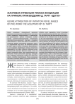 Жанровая атрибуция романа инициации на примере произведения Д. Тартт «Щегол»