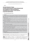 Формирование среды профессионального самоопределения обучающихся корпоративного профильного класса «МЧС-Ресурс» в школе-комплексе