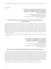 Исследования палеолитических местонахождений Маткечик на юге Хакасии
