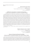 Особенности внутреннего и внешнего обустройства погребальных сооружений у казахов юга Западной Сибири