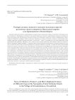 Размеры детских, женских и мужских нательных крестов различных типов в некрополе Никольской церкви села Кривощеково в Новосибирске