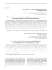 Новые данные о плейстоценовой фауне мелких млекопитающих Страшной пещеры (Северо-Западный Алтай)