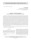 Oldowan or pebble-flake industry? Levantine Mousterian or Levantine middle Paleolithic?