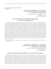 Исследования пещеры Верхняя Сибирячиха в полевом сезоне 2021 года