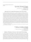 Индустрия слоя 1 пещеры Окладникова в свете новых данных