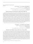 Археологические исследования в городе Таре в 2022 году