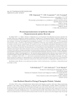 Позднесредневековое погребение Диринг (Чурапчинский район, Якутия)