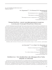 Пещера Джиблон - новый стратифицированный памятник в долине реки Ахангаран (Республика Узбекистан)