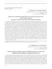 Предметы каменной индустрии неолитического комплекса памятника Конево-4 (среднее течение реки Ини, Кузнецкая котловина)