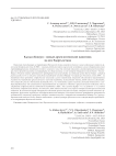 Кызыл-Кошун - новый археологический памятник на юге Кыргызстана