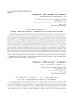Поселение Шеломок V - новый памятник позднего средневековья в Нижнем Притомье