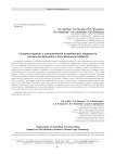 Сезонный фактор в синташтинской погребальной обрядности (могильник бронзового века Каменный Амбар-5)