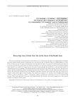 Stone Age Ivory Points from the Arctic Zone of Northeast Asia