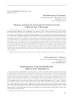 Очажные конструкции позднепалеолитической стоянки Афонтова Гора V (Радищева)