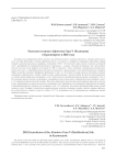Раскопки стоянки Афонтова Гора V (Радищева) в Красноярске в 2024 году
