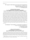 Изображение оружия на средневековых каменных изваяниях из юго-западной части Иссык-Кульской котловины