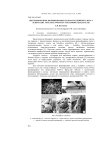 Внутрипочечное формирование пальчатосложного листа Schefflera venulosa (Wight et Am.) Harms (Araliaceae)