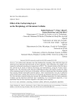 Effect of the carburizing layer on the morphology of chromium carbides