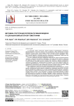 Методика построения репрезентативной модели по данным компьютерной томографии