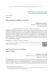 Ramam Optical Amplifier: US Patents