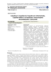 Calodium (Capillaria) Hepaticum (Nematoda, Capillariidae) в островных популяциях мышевидных грызунов