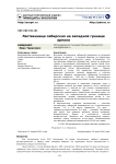 Лиственница сибирская на западной границе ареала