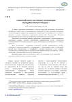 Словарный корпус как элемент оптимизации исследовательского процесса