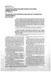 Социально-философский анализ категории «имидж региона»