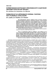 Формирование внутреннего приближенного зацепления цилиндроконических передач