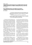 Самопрезентация личности в условиях виртуальной коммуникации (на примере немецкоязычных блогов)