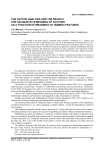 The factor analysis and the search for an objective meaning of factors as a function of meanings of (names) features
