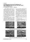 Исследование пористости хромовых руд месторождения «Центральное» массива Рай-Из при нагреве до 1000 °С