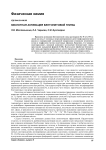 Кислотная активация бентонитовой глины