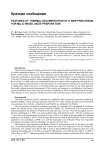 Features of thermal decomposition of a new precursor for Mg-Zr mixed oxide preparation