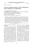 Состав и строение медистых глин Гумешевского медно-скарнового месторождения