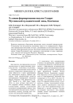 Условия формирования опалов Северо-Мутновской вулканической зоны, Камчатка