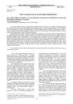 The nanolevel of economic hierarchy