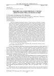Лицевые накладки поясных сумочек "венгерского типа" из Волго-Камья