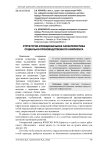 Структурно-функциональная характеристика социально-производственного комплекса