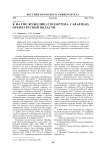 К фауне жужелиц (Coleoptera, Carabidae) Оренбургской области