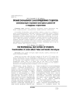 Профессиональное самоопределение студентов: трансформация социально-культурных ценностей и гендерных стереотипов