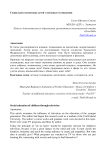 Социальное воспитание детей с помощью телевидения
