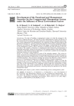Development of the functional and management structure for the computerized management system under the influence of direct environment factors