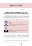 Principles of strategic programming in the fuel and energy complex considering the interests of small petroleum companies