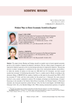 Modern ways to boost economic growth in regions