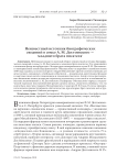 Неизвестный источник биографических сведений о семье А. М. Достоевского - младшего брата писателя