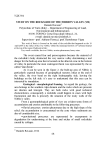 Study on the rockslide of the Nibbio's valley (VB)