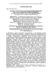 Вариант структурно-аналитической мезомеханики для тел с концентраторами напряжений