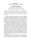 Types of ecphrastic descriptions in headlong