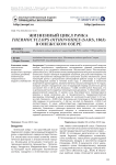 Жизненный цикл рачка Thermocyclops oithonoides (Sars, 1863) в Онежском озере